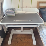 NNETB Liftable Student Desk Adjustable Computer Writing Table
