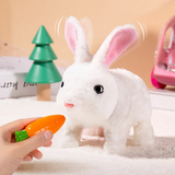 NNEOBA Plush Rabbit Electronic Pet Toy for Kids