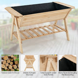 NNECW 2 Tiers Raised Garden Bed with Storage Shelf & Black Liner