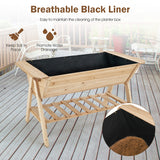 NNECW 2 Tiers Raised Garden Bed with Storage Shelf & Black Liner