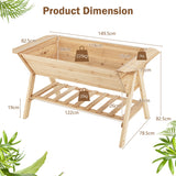 NNECW 2 Tiers Raised Garden Bed with Storage Shelf & Black Liner