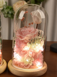 NNEOBA Preserved Rose in Glass Dome with Lights
