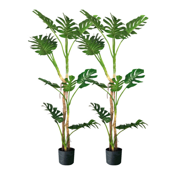 NNEAGS 2X 175cm Green Artificial Indoor Turtle Back Tree Fake Fern Plant Decorative