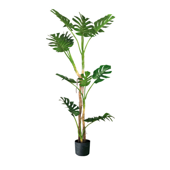NNEAGS 175cm Green Artificial Indoor Turtle Back Tree Fake Fern Plant Decorative