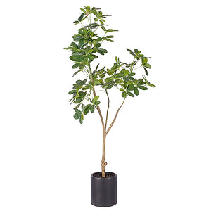 NNEAGS 160cm Artificial Natural Green Schefflera Dwarf Umbrella Tree Fake Tropical Indoor Plant Home Office Decor