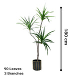 NNEAGS 2X 180cm Green Artificial Indoor Brazlian Iron Tree Fake Plant Decorative 3 Heads
