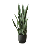 NNEAGS 2X 95cm Artificial Indoor Snake Sansevieria Plant Fake Decoration Tree Flower Pot