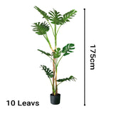 NNEAGS 2X 175cm Green Artificial Indoor Turtle Back Tree Fake Fern Plant Decorative
