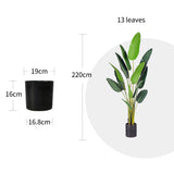 NNEAGS 2X 220cm Artificial Giant Green Birds of Paradise Tree Fake Tropical Indoor Plant Home Office Decor