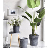 NNEAGS 32cm Weathered Grey Round Resin Plant Flower Pot in Cement Pattern Planter Cachepot for Indoor Home Office