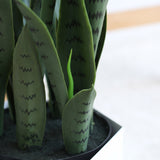 NNEAGS 2X 97cm Artificial Indoor Snake Sansevieria Plant Fake Decoration Tree Flower Pot
