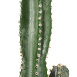 NNEAGS 105cm Green Artificial Indoor Cactus Tree Fake Plant Simulation Decorative 6 Heads