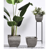 NNEAGS 27cm Rock Grey Square Resin Plant Flower Pot in Cement Pattern Planter Cachepot for Indoor Home Office