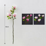 NNEAGS Clear Glass Cylinder Flower Vase with 6 Bunch 4 Heads Artificial Fake Silk Magnolia denudata Home Decor Set