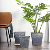 NNEAGS 27cm Weathered Grey Square Resin Plant Flower Pot in Cement Pattern Planter Cachepot for Indoor Home Office