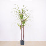 NNEAGS 145cm Green Artificial Indoor Dragon Blood Tree Fake Plant Decorative