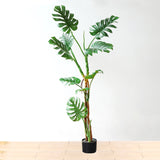 NNEAGS 2X 175cm Green Artificial Indoor Turtle Back Tree Fake Fern Plant Decorative
