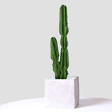 NNEAGS 4X 95cm Green Artificial Indoor Cactus Tree Fake Plant Simulation Decorative 2 Heads