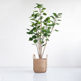 NNEAGS 2X 180cm Green Artificial Indoor Pocket Money Tree Fake Plant Simulation Decorative
