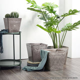 NNEAGS 27cm Sand Grey Square Resin Plant Flower Pot in Cement Pattern Planter Cachepot for Indoor Home Office