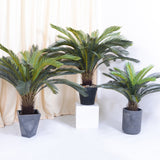NNEAGS 155cm Artificial Indoor Cycas Revoluta Cycad Sago Palm Fake Decoration Tree Pot Plant