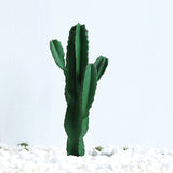 NNEAGS 70cm Green Artificial Indoor Cactus Tree Fake Plant Simulation Decorative 5 Heads