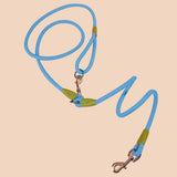 NNEAGS 2X 220cm Multifunction Hands-Free Rope Pet Cat Dog Puppy Double Ended Leash for Walking Training Tracking Obedience Blue