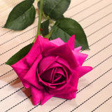 NNEAGS 12pcs Artificial Silk Flower Fake Rose Bouquet Table Decor Dark Pink