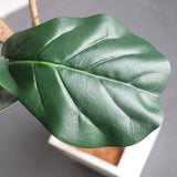 NNEAGS 120cm Green Artificial Indoor Qin Yerong Tree Fake Plant Simulation Decorative