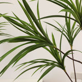 NNEAGS 150cm Green Artificial Indoor Dragon Blood Tree Fake Plant Simulation Decorative