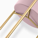 NNEAGS 2X 2 Layer 60cm Gold Metal Plant Stand with Pink Flower Pot Holder Corner Shelving Rack Indoor Display