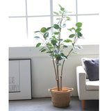 NNEAGS 2X 180cm Green Artificial Indoor Pocket Money Tree Fake Plant Simulation Decorative