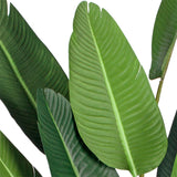 NNEAGS 2X 245cm Artificial Giant Green Birds of Paradise Tree Fake Tropical Indoor Plant Home Office Decor
