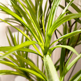 NNEAGS 2X 120cm Artificial Natural Green Dracaena Dragon Tree Fake Tropical Indoor Plant Home Office Decor