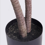 NNEAGS 150cm Green Artificial Indoor Dragon Blood Tree Fake Plant Simulation Decorative