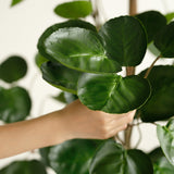 NNEAGS 2X 180cm Green Artificial Indoor Pocket Money Tree Fake Plant Simulation Decorative