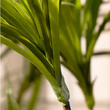 NNEAGS 120cm Artificial Natural Green Dracaena Dragon Tree Fake Tropical Indoor Plant Home Office Decor