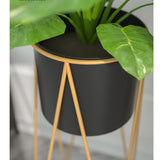 NNEAGS 4X 50cm Gold Metal Plant Stand with Black Flower Pot Holder Corner Shelving Rack Indoor Display