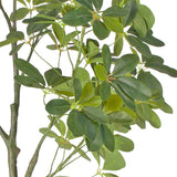 NNEAGS 160cm Artificial Natural Green Schefflera Dwarf Umbrella Tree Fake Tropical Indoor Plant Home Office Decor