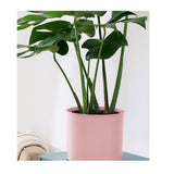 NNEAGS 2X 80cm Tripod Flower Pot Plant Stand with Pink Flowerpot Holder Rack Indoor Display