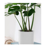 NNEAGS 4X 80cm Tripod Flower Pot Plant Stand with White Flowerpot Holder Rack Indoor Display