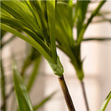 NNEAGS 2X 120cm Artificial Natural Green Dracaena Dragon Tree Fake Tropical Indoor Plant Home Office Decor
