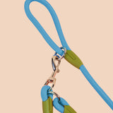 NNEAGS 2X 220cm Multifunction Hands-Free Rope Pet Cat Dog Puppy Double Ended Leash for Walking Training Tracking Obedience Blue