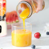 NNEAGS Portable Mini USB Rechargeable Handheld Juice Extractor Fruit Mixer Juicer White