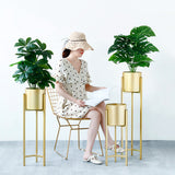 NNEAGS 2X 75cm Gold Metal Plant Stand with Flower Pot Holder Corner Shelving Rack Indoor Display