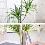 NNEAGS 2X 180cm Green Artificial Indoor Brazlian Iron Tree Fake Plant Decorative 3 Heads