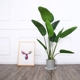 NNEAGS 2X 180cm Green Artificial Indoor Nordic Wind Traveller Banana Plant Fake Decorative Tree