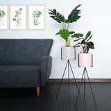 NNEAGS 70cm Tripod Flower Pot Plant Stand with White Flowerpot Holder Rack Indoor Display