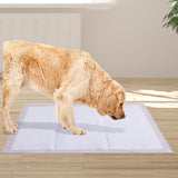 NNEIDS 200 Pcs 60x60 cm Pet Puppy Dog Toilet Training Pads Absorbent Meadow Scent