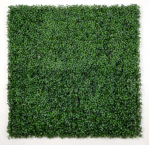NNEDSZ Wood Screens / Panels UV Stabilised 1m X 1m
